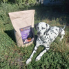 Karma Look4dog CARE dla psa z kaczką 12 kg, bez zbóż