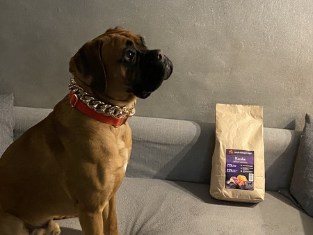 Karma Look4dog CARE dla psa z kaczką 12 kg, bez zbóż