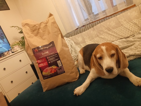 Sucha karma Look4dog CARE Łosoś i pstrąg 6 kg