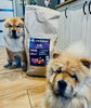 Karma Look4dog CARE dla psa z królikiem 12 kg, bez zbóż