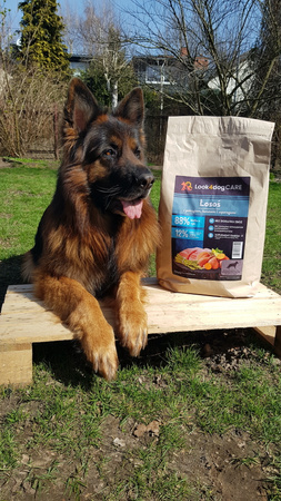Karma Look4dog CARE łosoś pstrąg duża rasa 6 kg