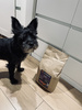 Karma Look4dog CARE królik 6kg Delikatny królik i jeżyny wyborny smak karmy